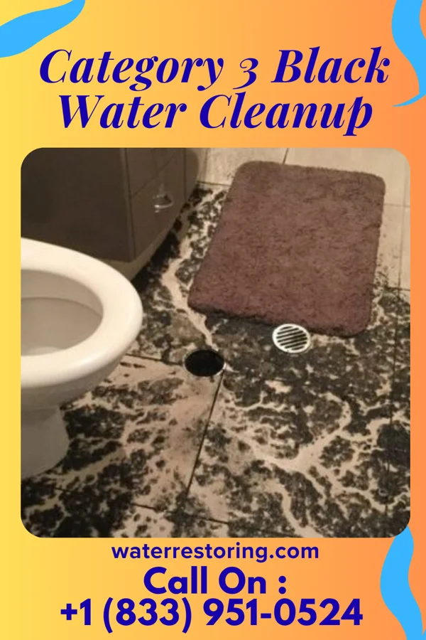 Category 3 Black Water Cleanup in Elrod, NC