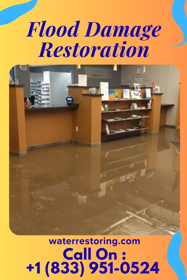 Flood Damage Restoration in Elrod, NC