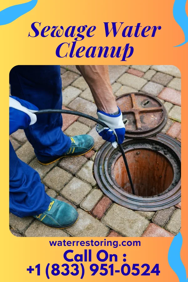 Sewage Water Cleanup in Elrod, NC